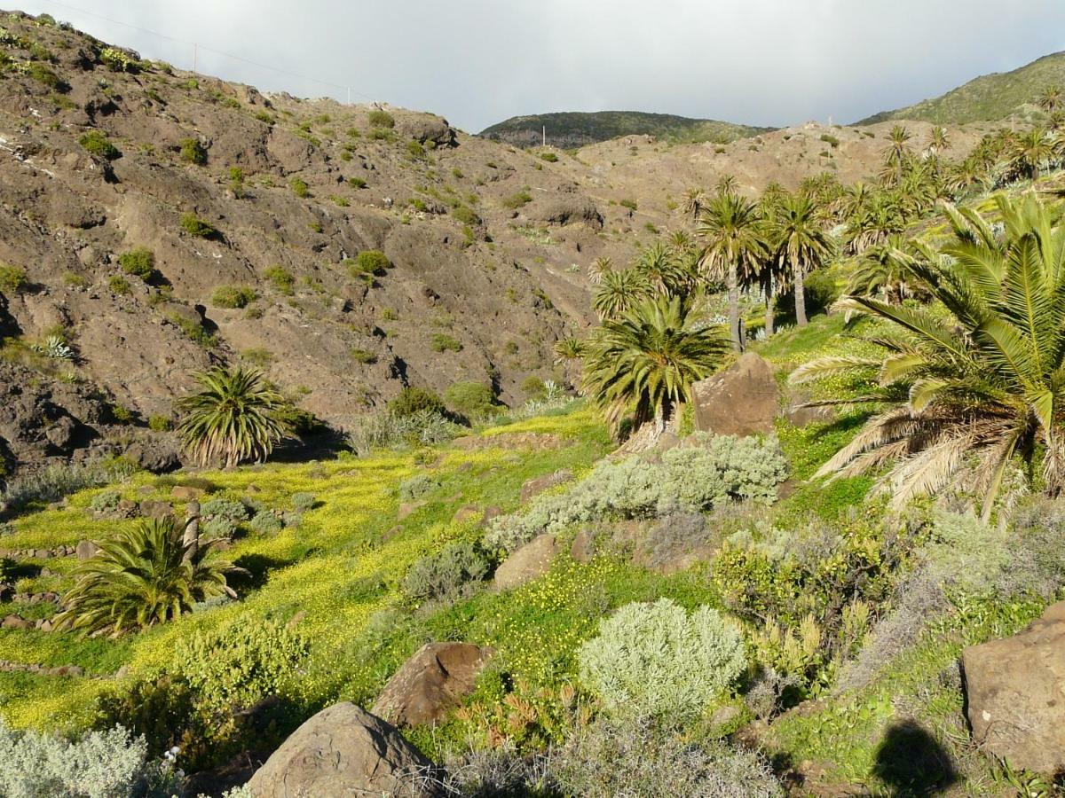 El Pirguan Holiday House, Your Oasis In La Gomera Вайермосо Екстериор снимка