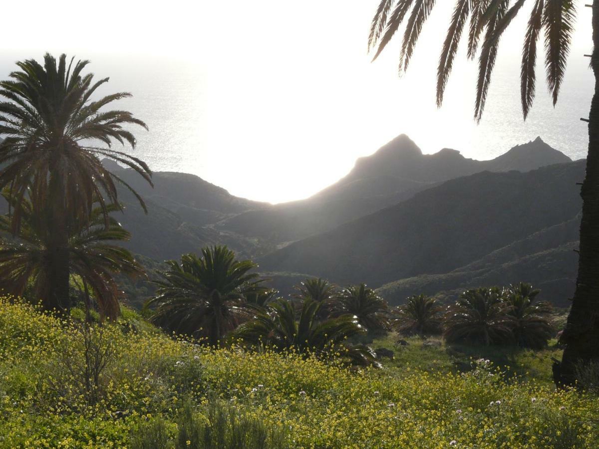 El Pirguan Holiday House, Your Oasis In La Gomera Вайермосо Екстериор снимка