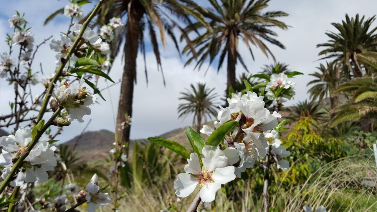 El Pirguan Holiday House, Your Oasis In La Gomera Вайермосо Екстериор снимка