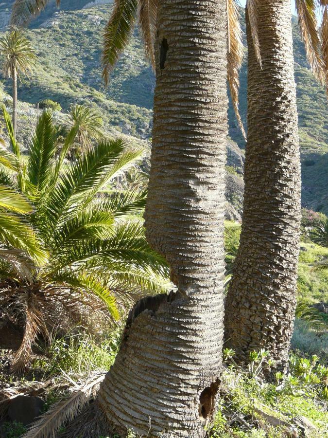 El Pirguan Holiday House, Your Oasis In La Gomera Вайермосо Екстериор снимка