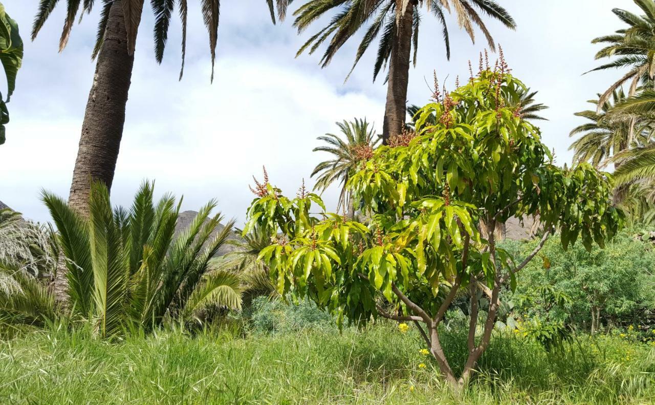 El Pirguan Holiday House, Your Oasis In La Gomera Вайермосо Екстериор снимка